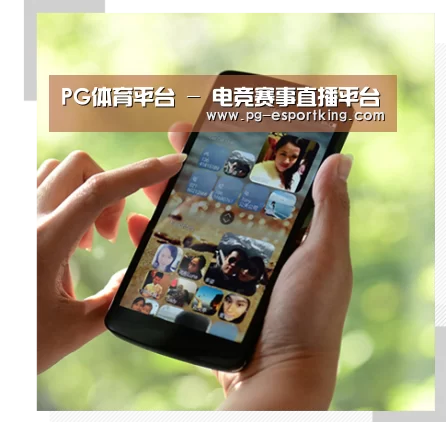关于PG体育