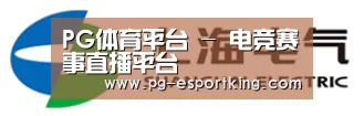上汽电器