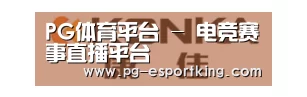 康佳