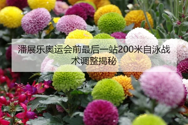 潘展乐奥运会前最后一站200米自泳战术调整揭秘
