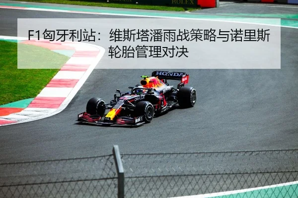 F1匈牙利站：维斯塔潘雨战策略与诺里斯轮胎管理对决