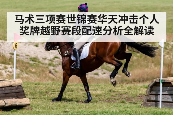 马术三项赛世锦赛华天冲击个人奖牌越野赛段配速分析全解读