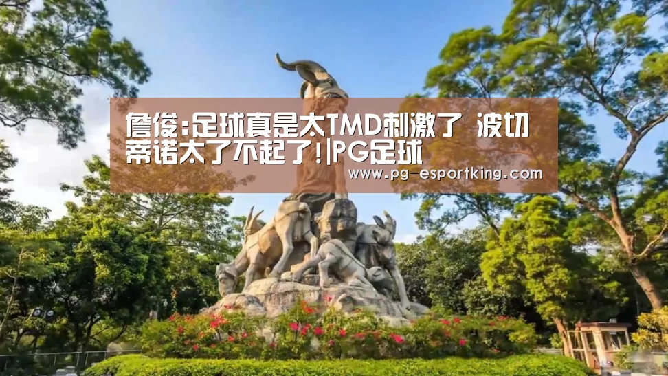 詹俊:足球真是太TMD刺激了 波切蒂诺太了不起了!|PG足球(图2) PG体育