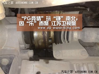 “PG竞猜”玩“赚”南北,因“乐”而聚 江苏卫视聚划算99划算盛典上演“惊喜连连看”(图2) PG足球