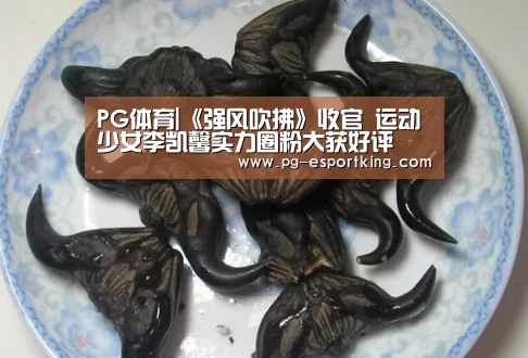 PG体育